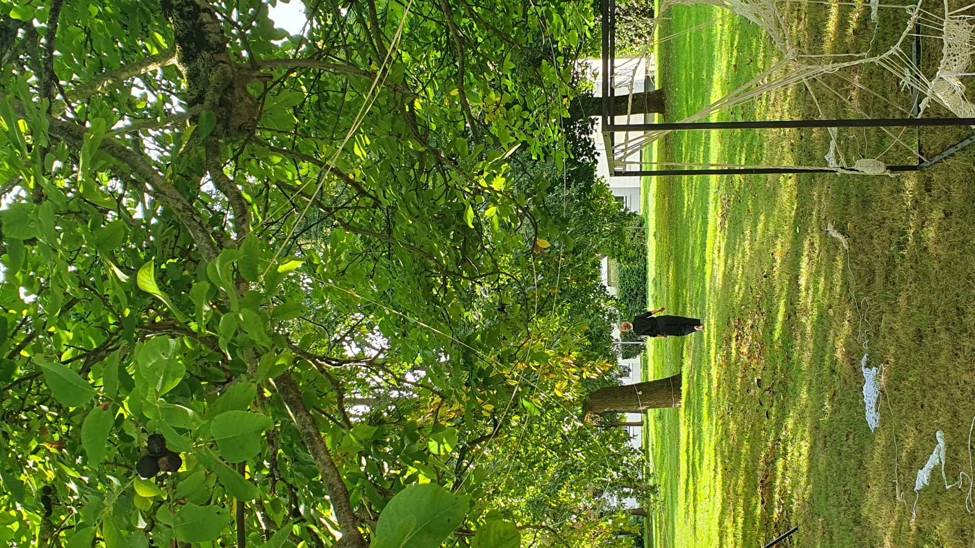 Un Été Exquis : Before Éclat(s) de Rue [9ème édition]